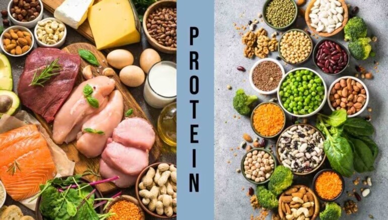 پروتئین برای عضلهسازی و کنترل اشتها: راهنمای جامع بر اساس شواهد علمی