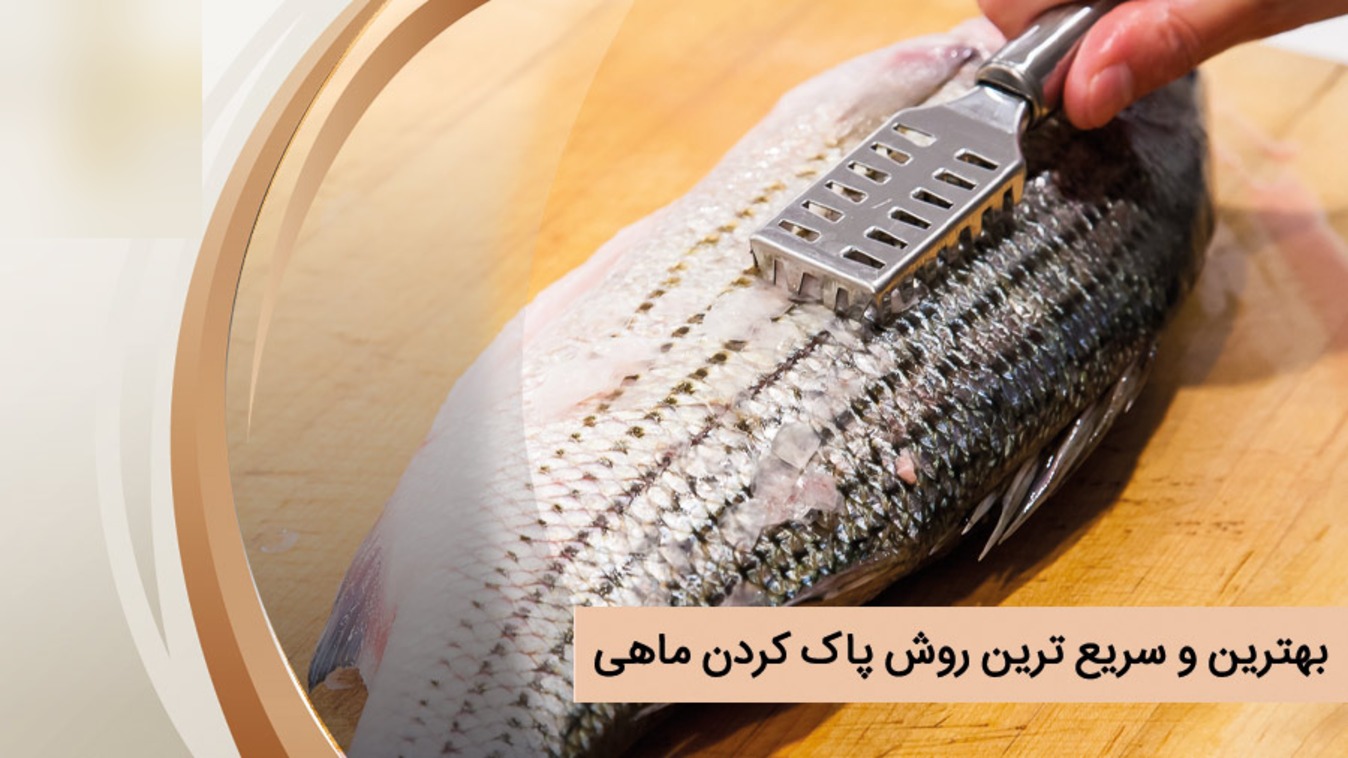 روش صحیح پاک کردن و نگهداری ماهی تازه در خانه