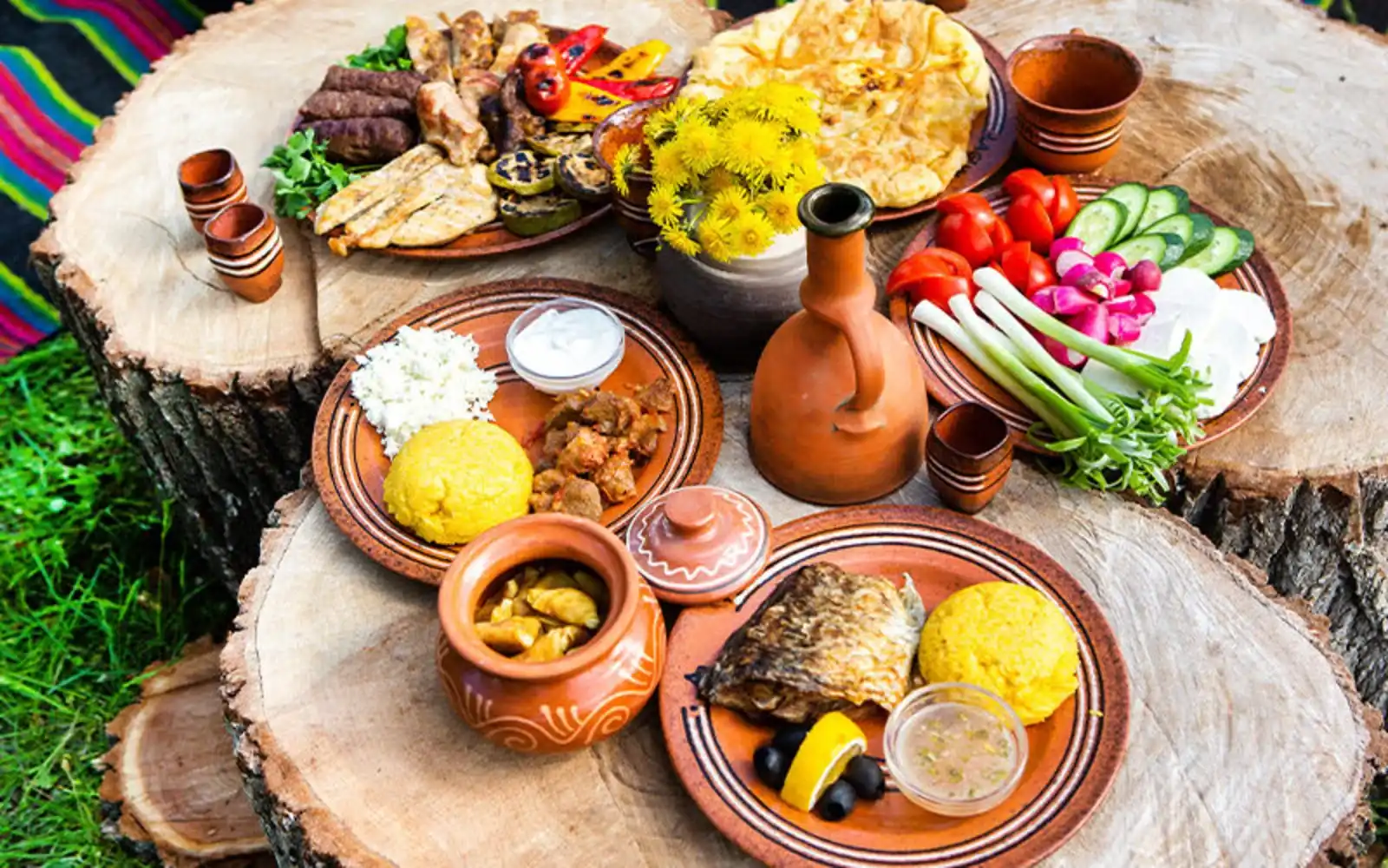 راهنمای جامع تهیه غذای سالم و پروتئینی در سفر و پیک‌نیک