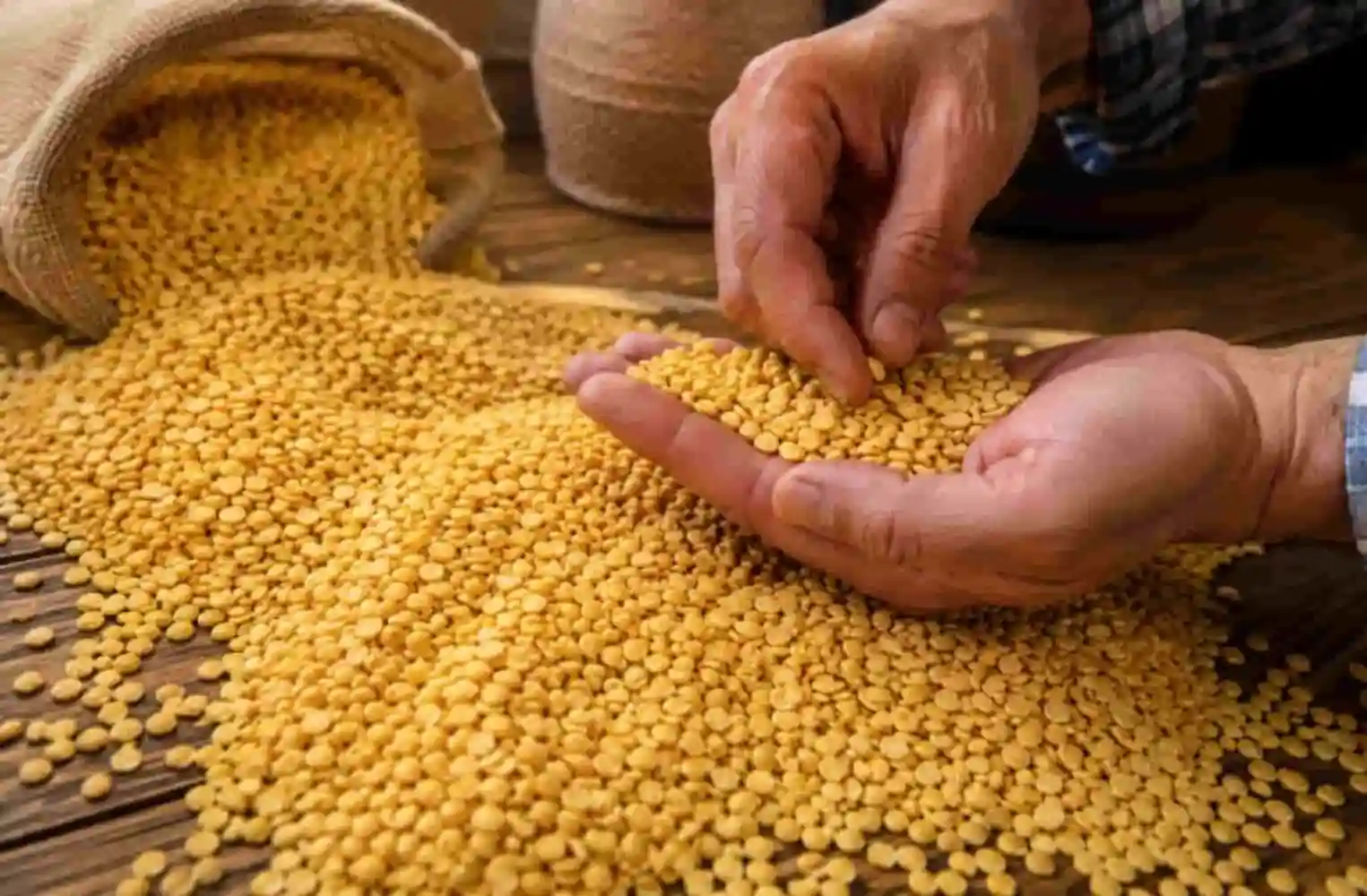 راهنمای کامل انتخاب حبوبات تازه و تشخیص کیفیت دانه ها
