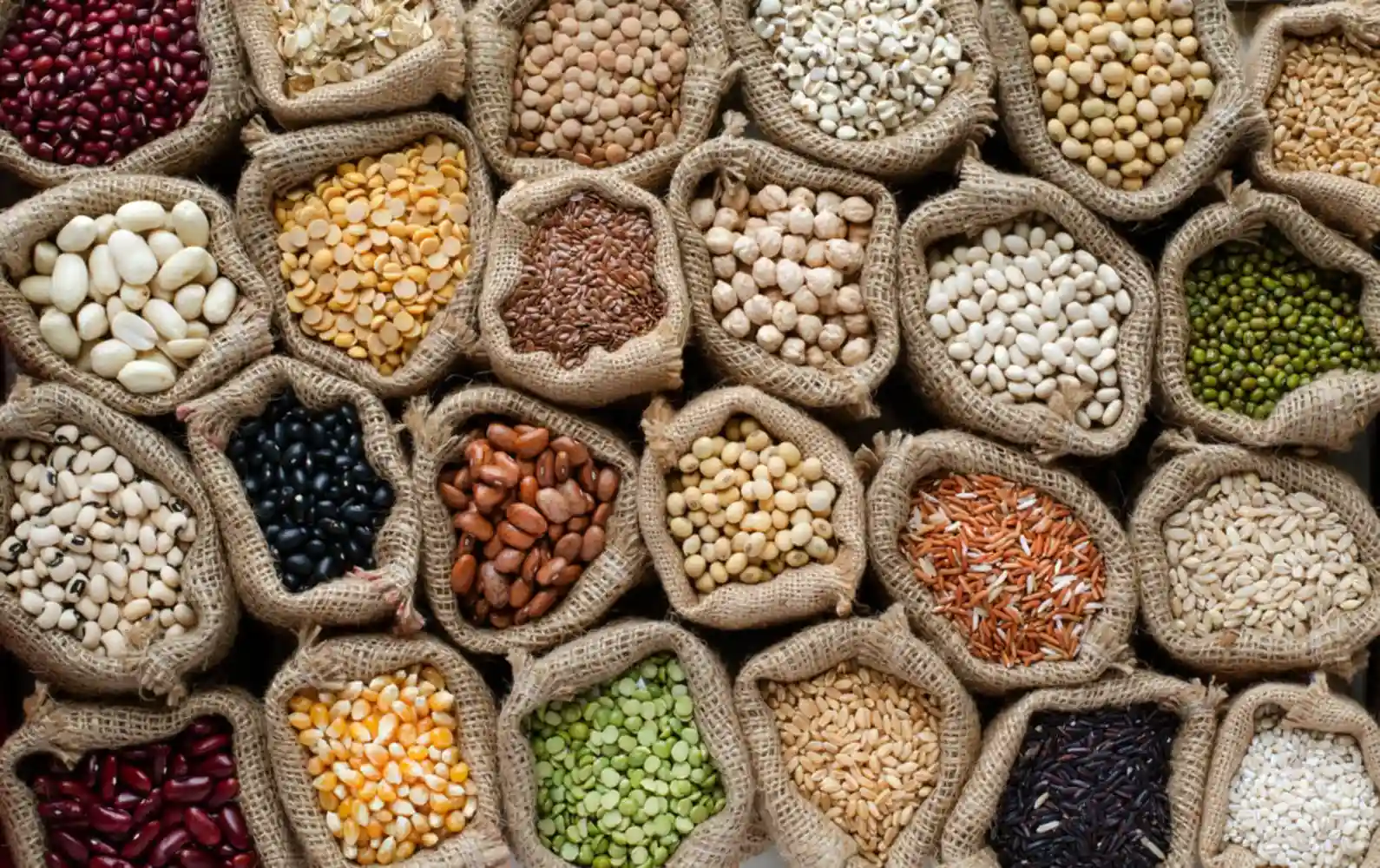 راهنمای کامل انتخاب حبوبات تازه و تشخیص کیفیت دانه ها